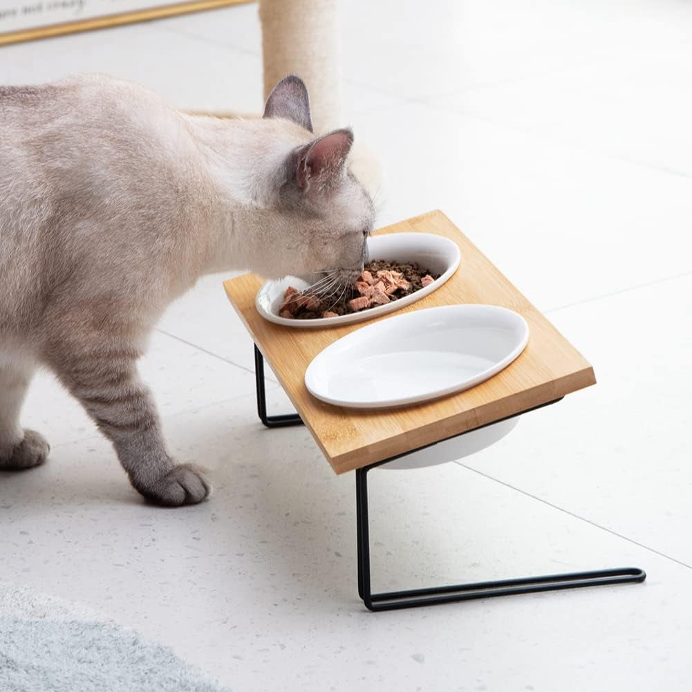 Ceramic Elevated Cat Bowls, Small Dog Bowls, 15° Tilted Raised Pet Bowl with Solid Wooden Stand to Protect Spine, Water and Food Feeder for Cat and Dog, Pack of 2 (White)