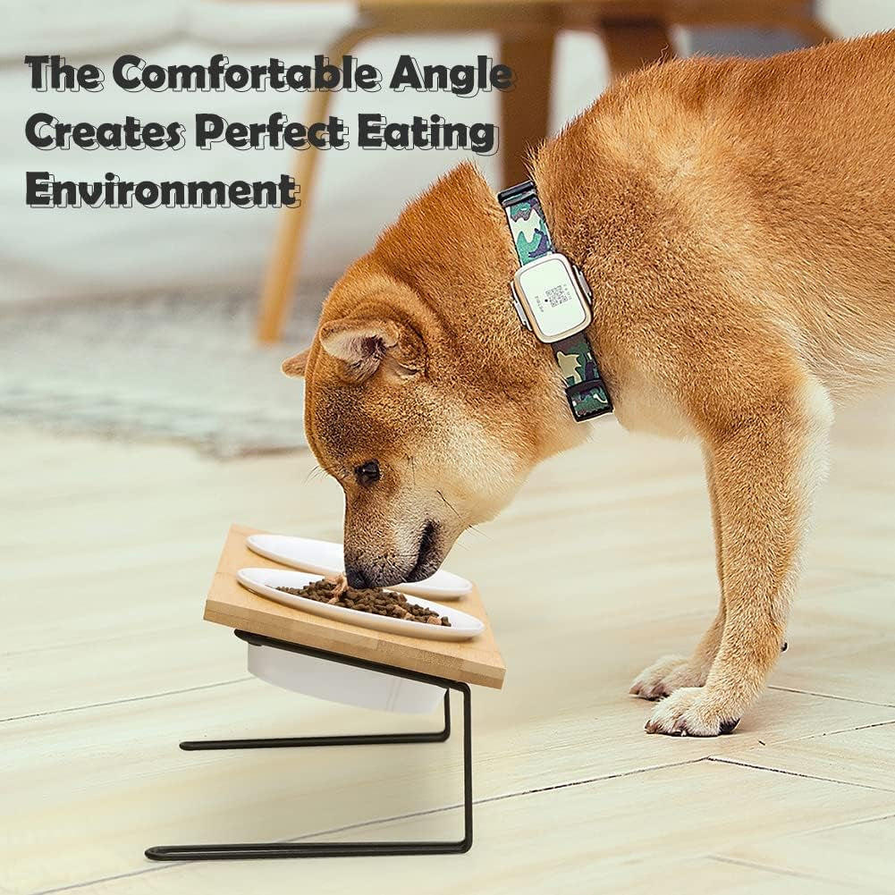 Ceramic Elevated Cat Bowls, Small Dog Bowls, 15° Tilted Raised Pet Bowl with Solid Wooden Stand to Protect Spine, Water and Food Feeder for Cat and Dog, Pack of 2 (White)