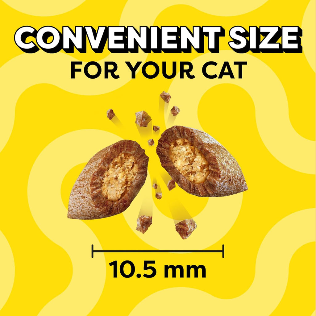 Cat Treats Classic Crunchy and Soft Cat Treats, Savory Salmon Flavor, 16 Oz. Tub