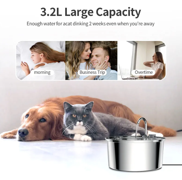 Stainless Steel Pet Hydration Station