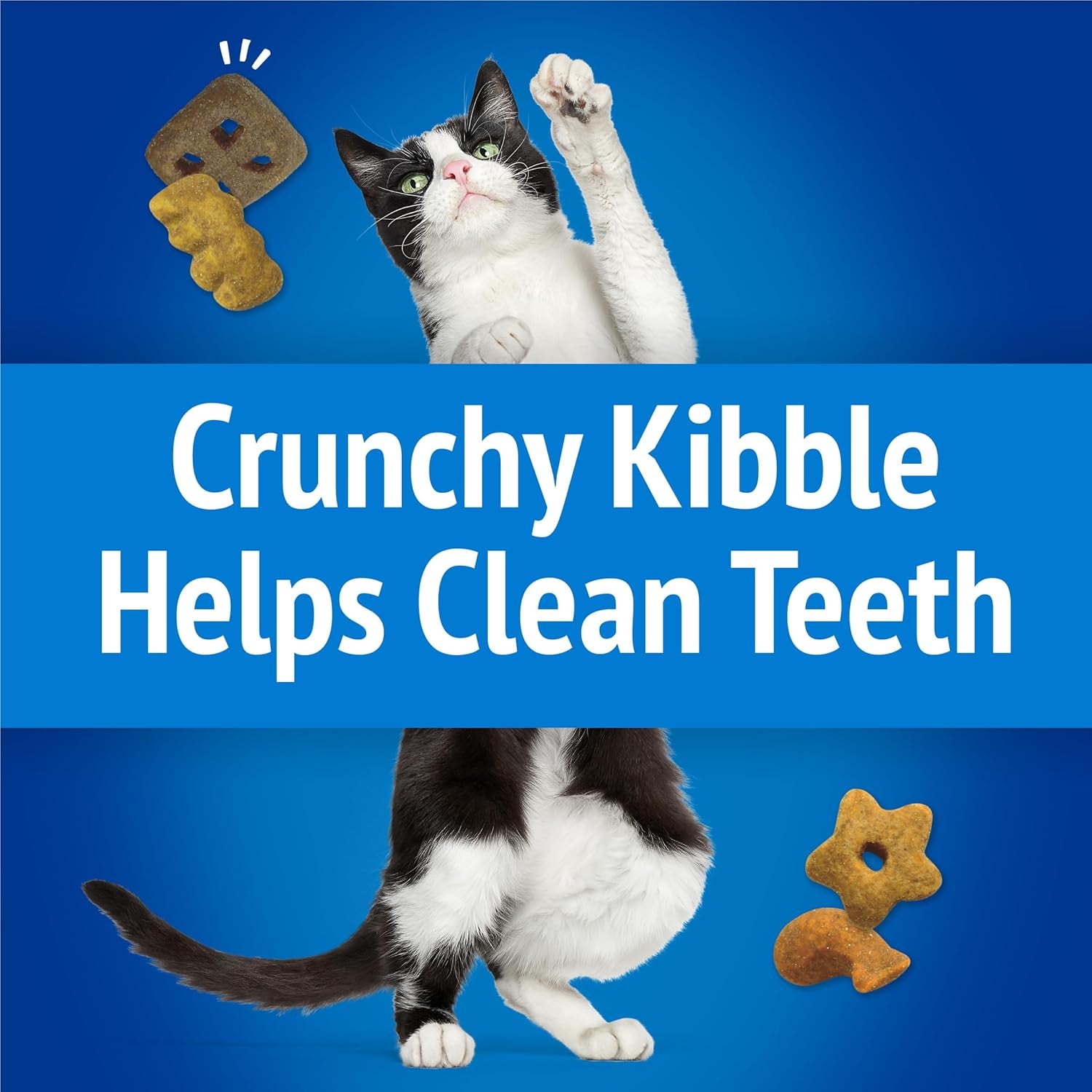 Purina  Cat Treats, Party Mix Beachside Crunch - 30 Oz. Pouch