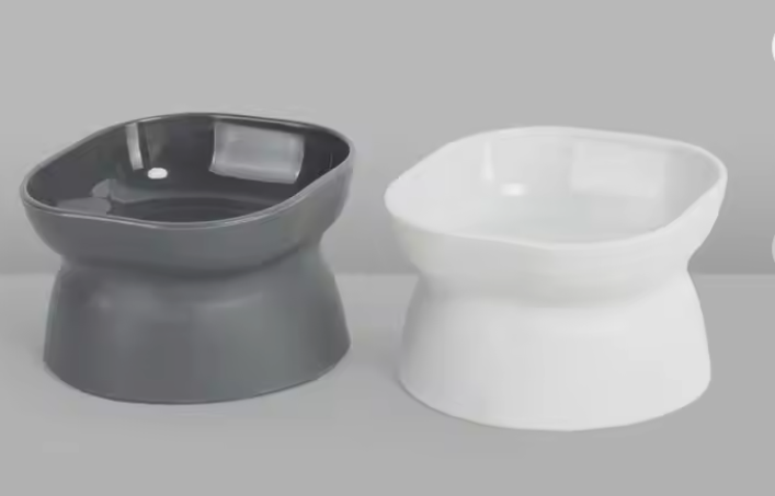 Elegant Angled Pet Feeder