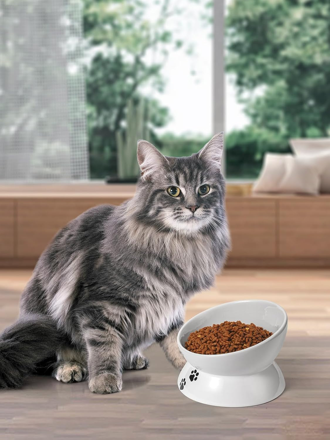 Large Raised Cat Food Bowl, 7 Inch Tilted Elevated Bowl, Ceramic Pet Food Bowl for Adult Cats and Medium Dogs, anti Vomiting, Protects Pet'S Spine, Dishwasher Safe