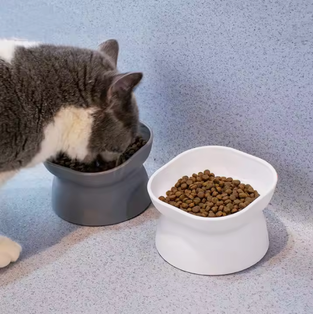 Elegant Angled Pet Feeder